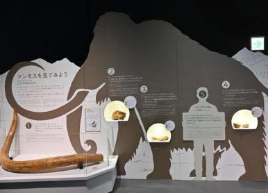 日本展廳設計注意事項有哪些？文中詳解一看便知
