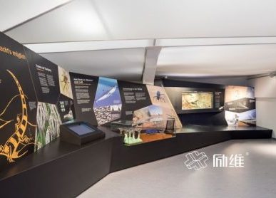 校史館的3個(gè)設計秘訣，如何展示文化底蘊？