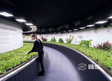 農業(yè)展廳設計，做法和思路詳解
